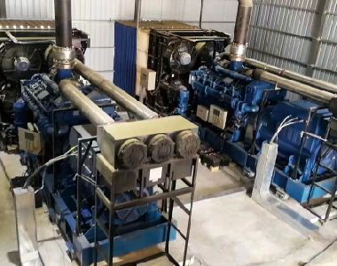 新疆燃?xì)獍l(fā)電項目（2臺1000KW10.5KV6極高壓發(fā)電機)